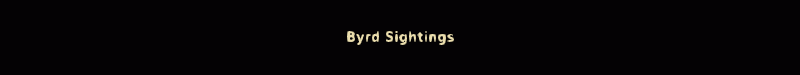 byrd sightings